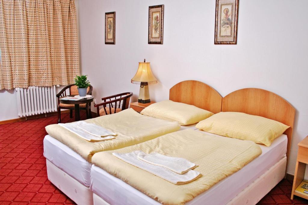 Hotel Patria Trutnov Room photo